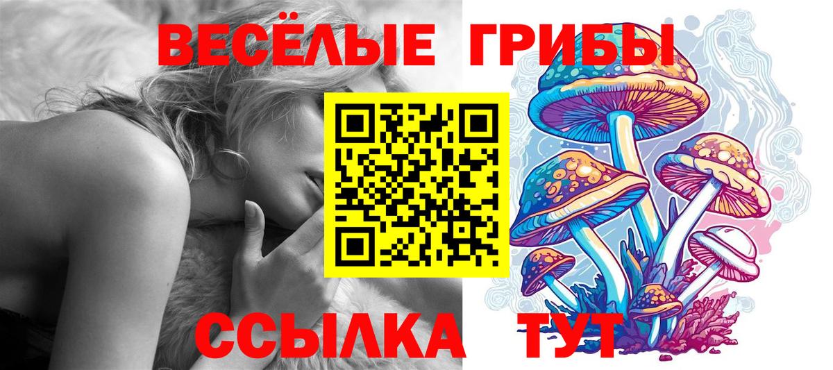 Псилоцибиновые грибы Cubensis Междуреченск