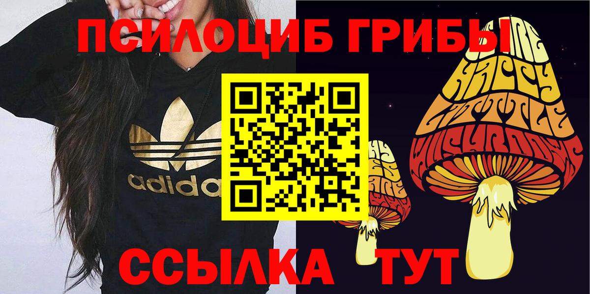 Псилоцибиновые грибы мухоморы  Вход с VPN  Междуреченск 